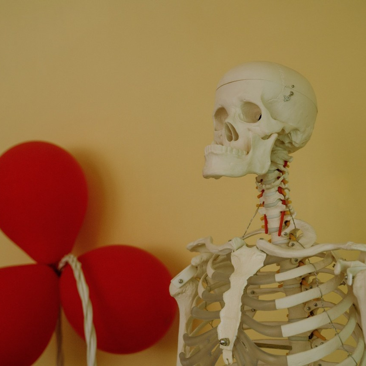 Отзывы. Свадебный и Семейный фотограф в г. Ростов-на-Дону Герасимова Светлана