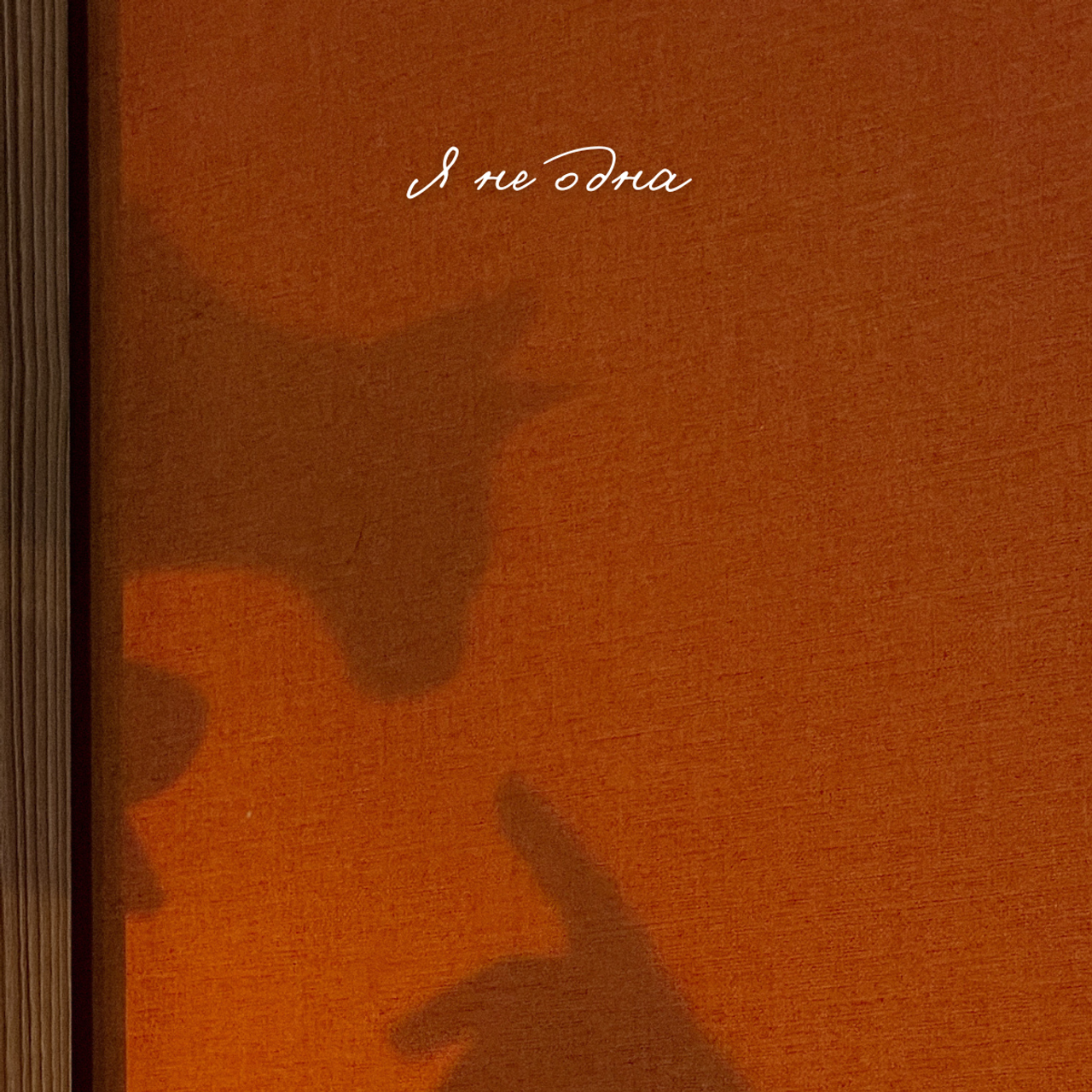 Отзывы. Фото и видео на роды Москва Ирина Жарковская | BIRTH.DAY PHOTO