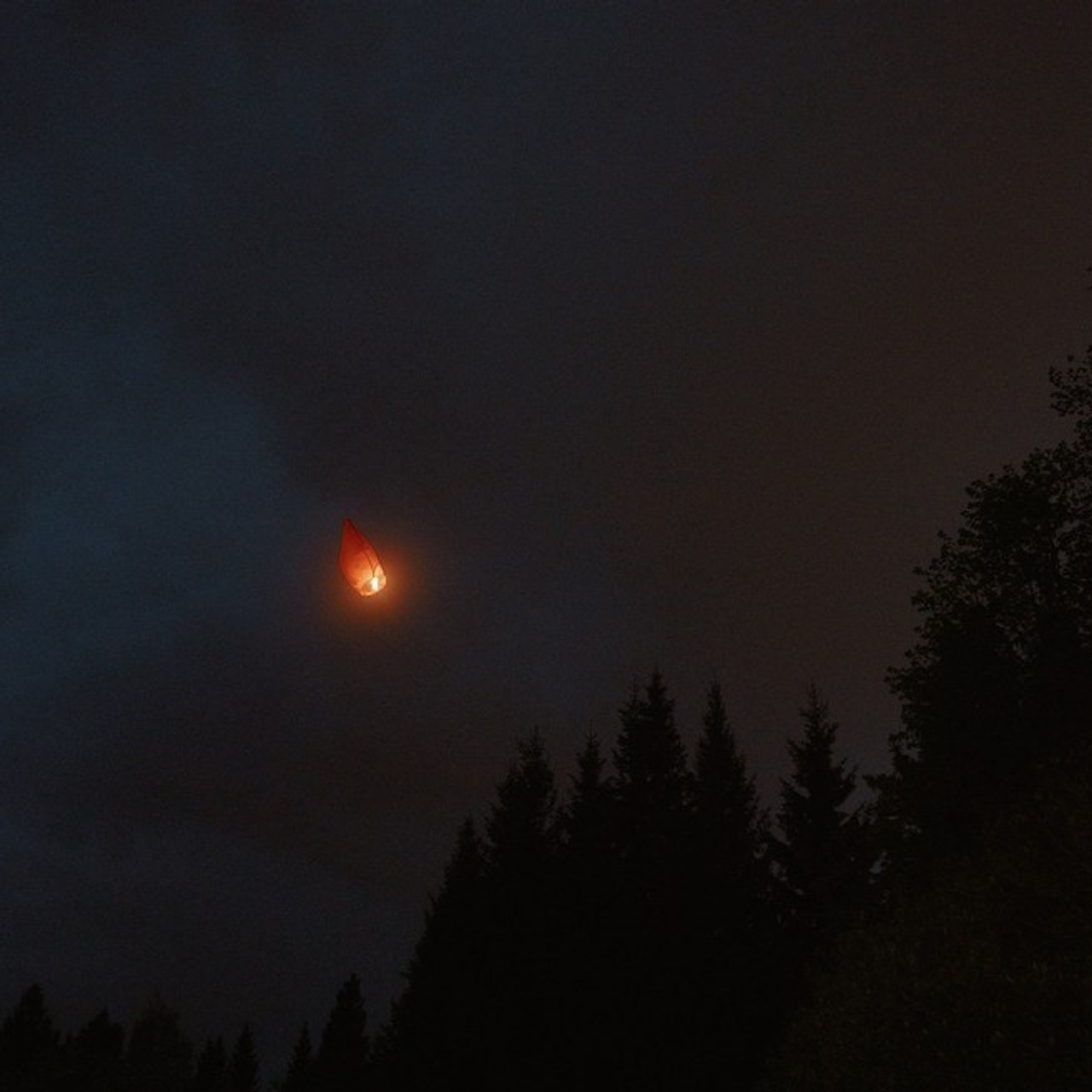 Услуги видеографа Максима Мантюка | Стоимость и предложения. Профессиональный видеограф Максим Мантюк | Видеосъемка по всему миру