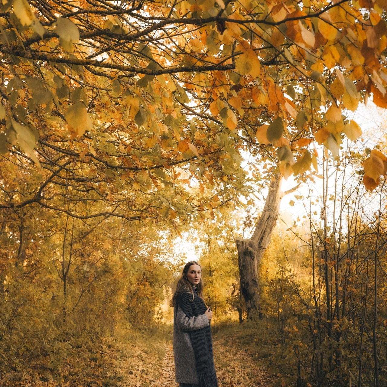 Отзывы. Коновалова Юлия