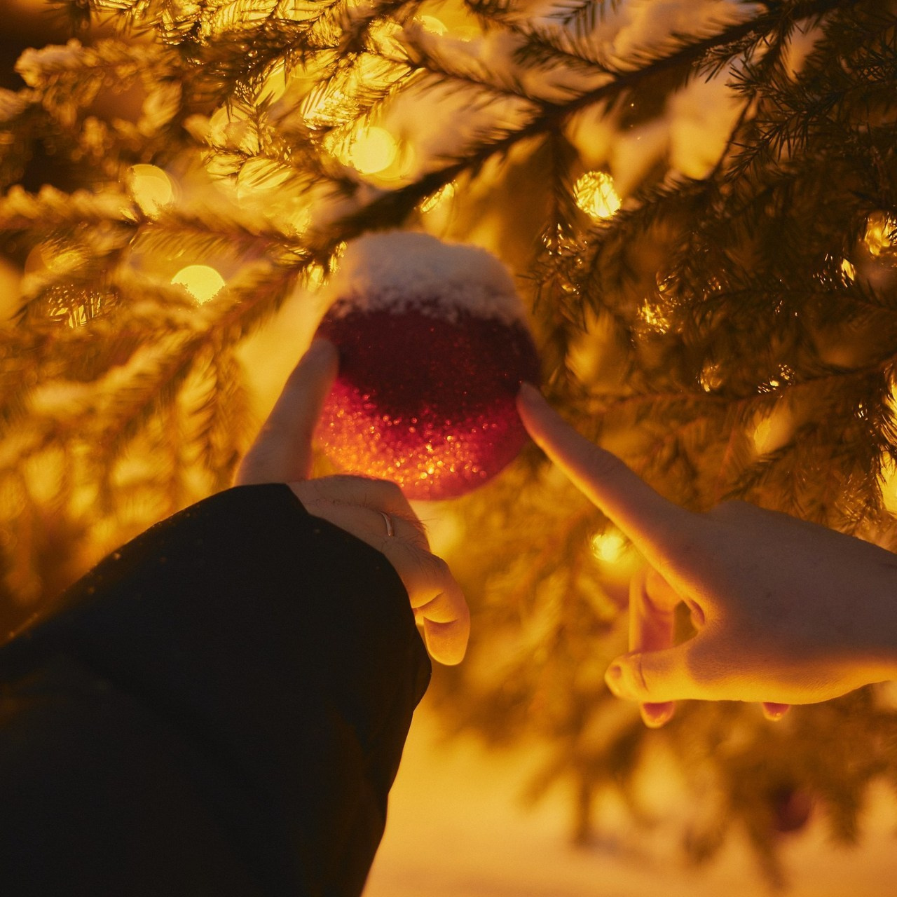 Отзывы. Свадебный и семейный фотограф