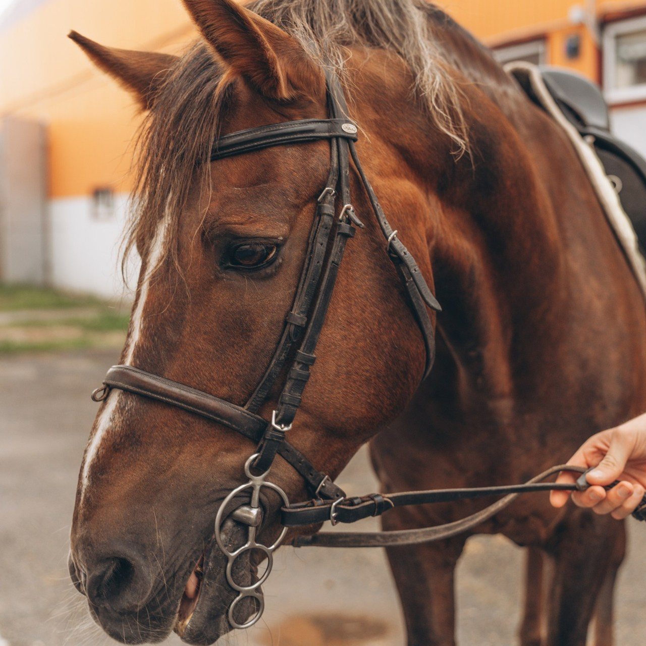 Отзывы. Лайфстайл фотограф в Ханты-Мансийске Мария Шишкина