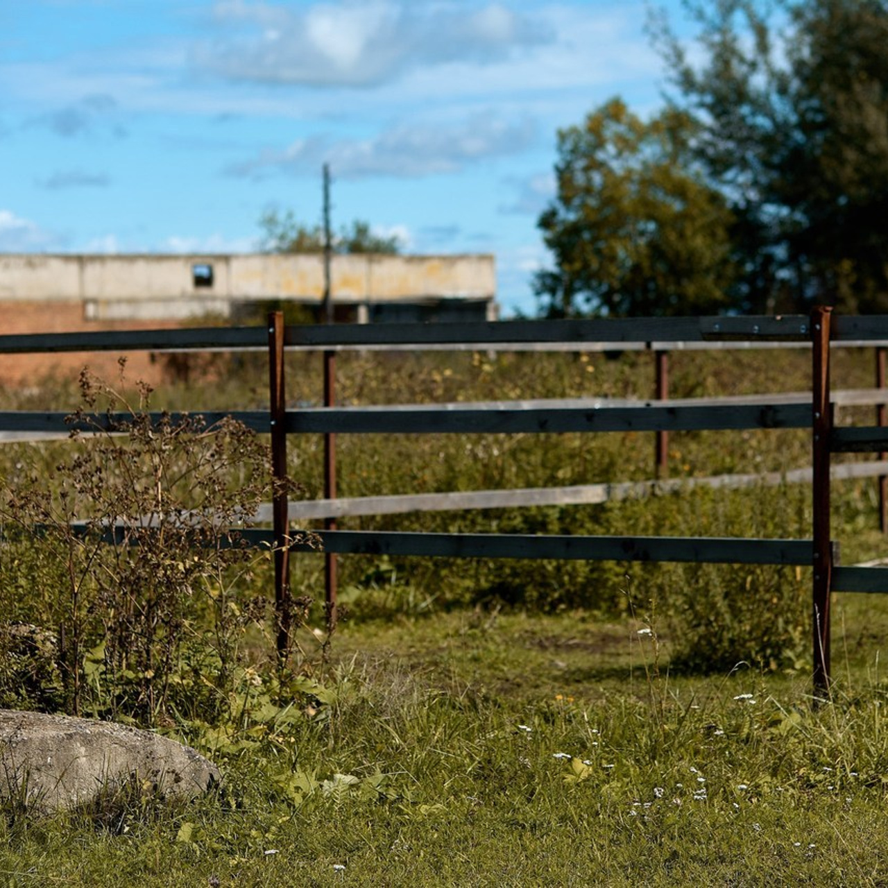 Отзывы о моей работе