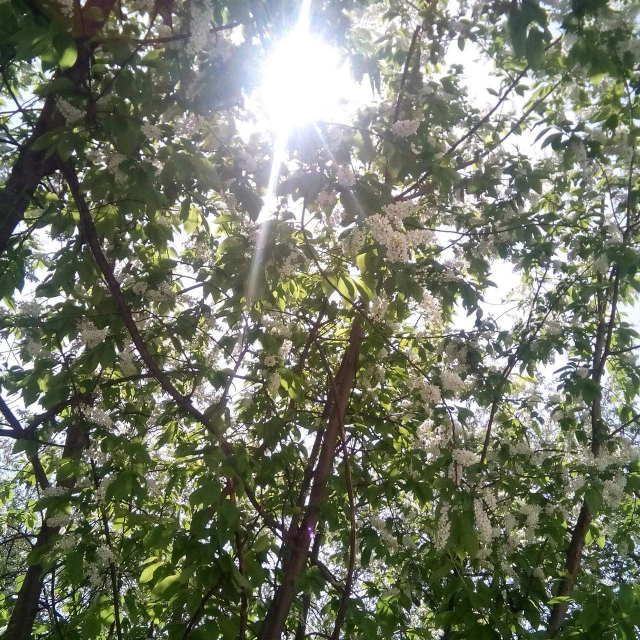 Отзывы. Свадебный и семейный фотограф в г. Краснодар Терентьева Юлия