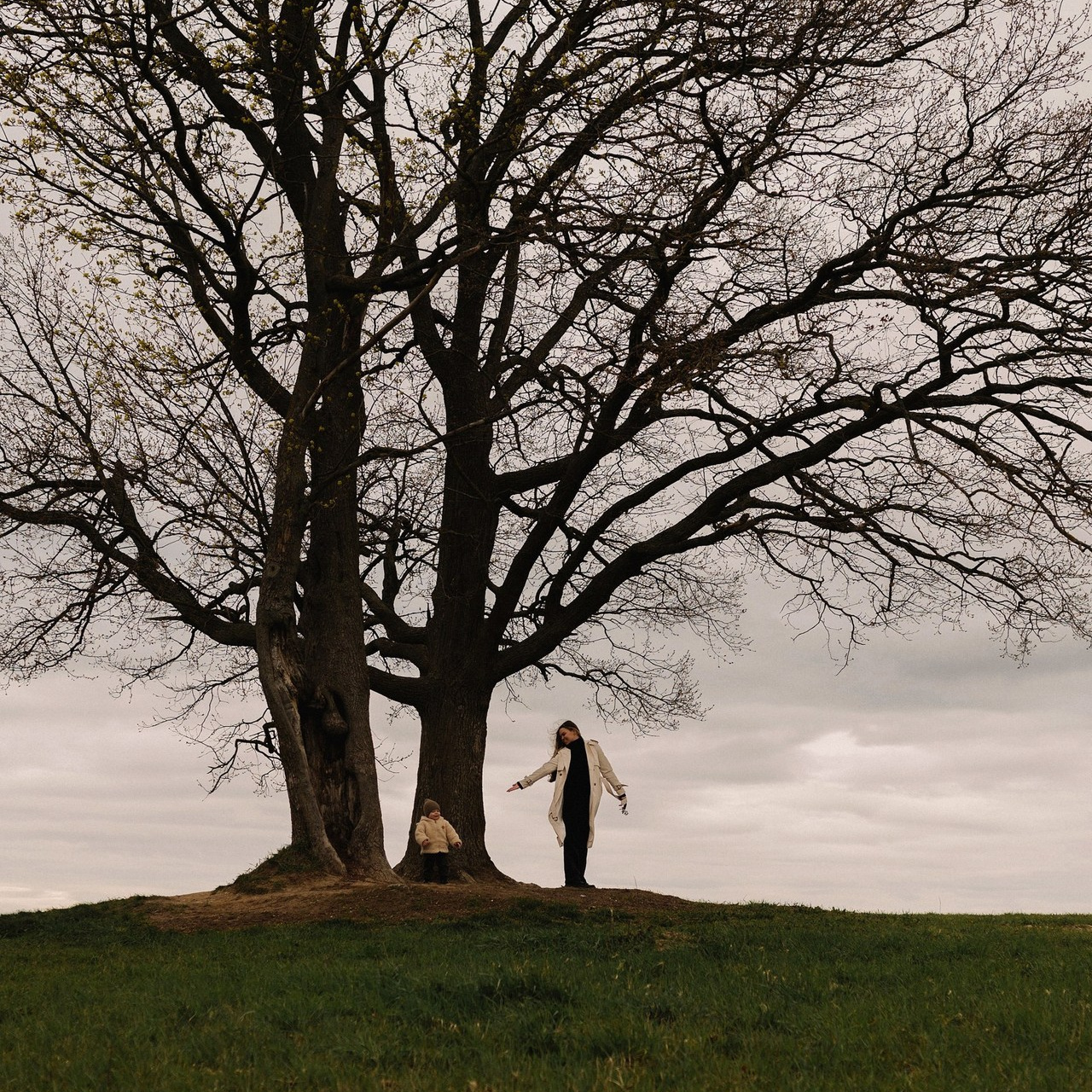 Отзывы. Эльвира Жижикина. Семейный фотограф в Санкт-Петербурге