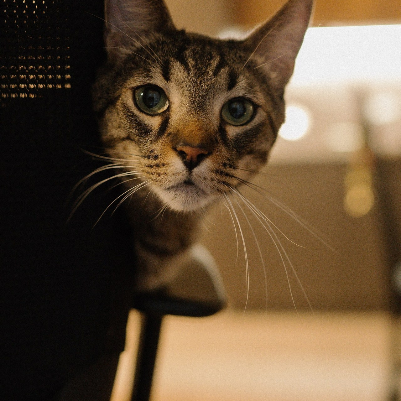 Отзывы. Эльвира Жижикина. Семейный фотограф в Санкт-Петербурге