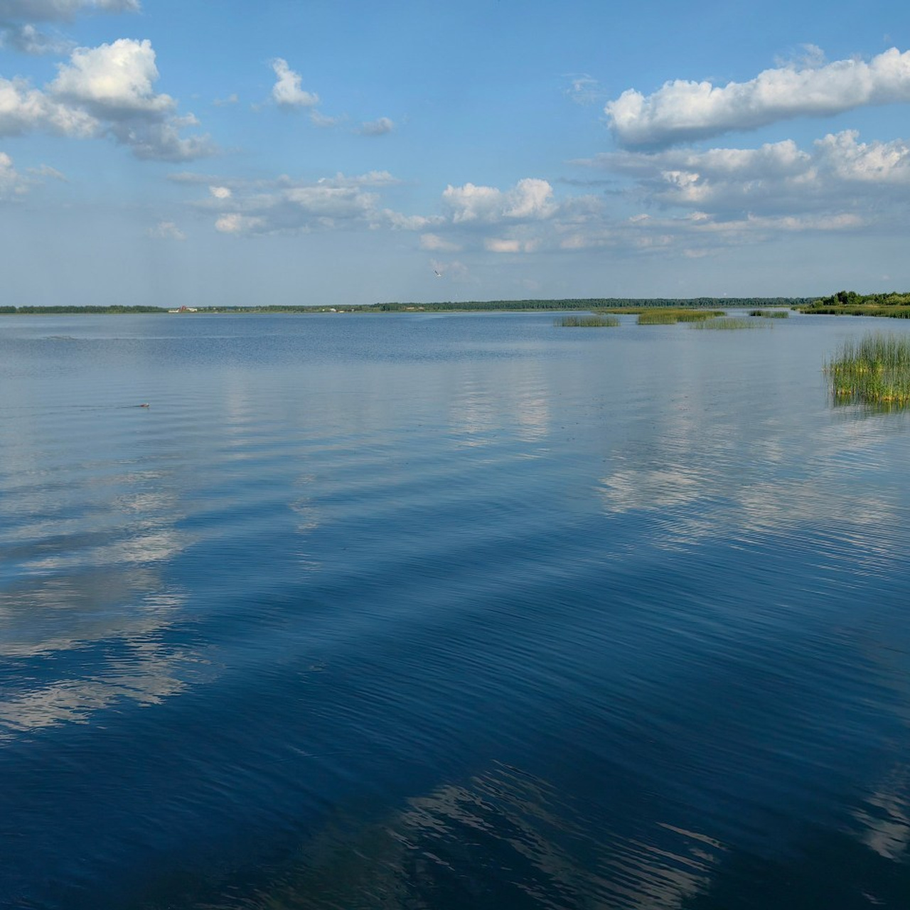 Отзывы о семейном и детском фотографе в городе Тюмени Хвостовой Ларисе Витальевне