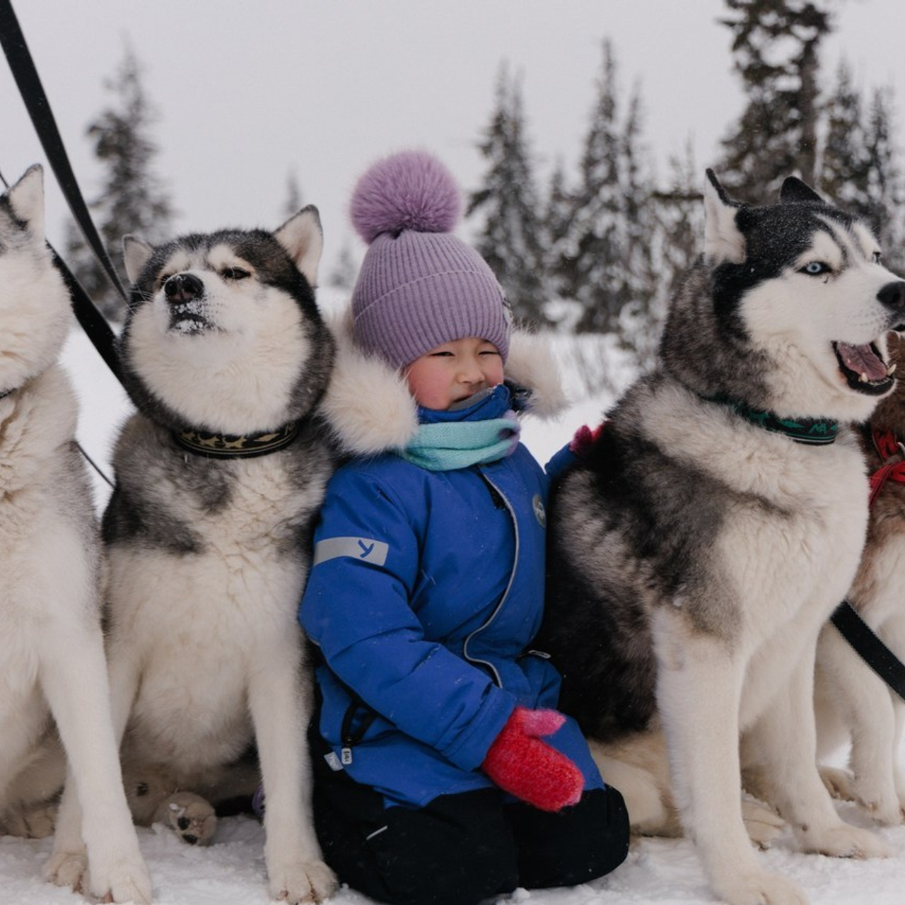 Отзывы. Фотограф в шерегеше Сахарова Ольга