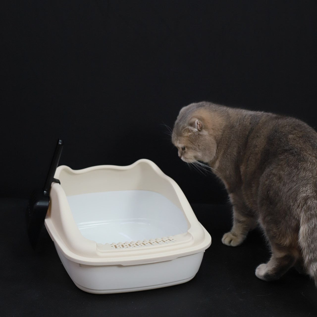 Отзывы. Фотограф Лукьянов Виталий Тульская область