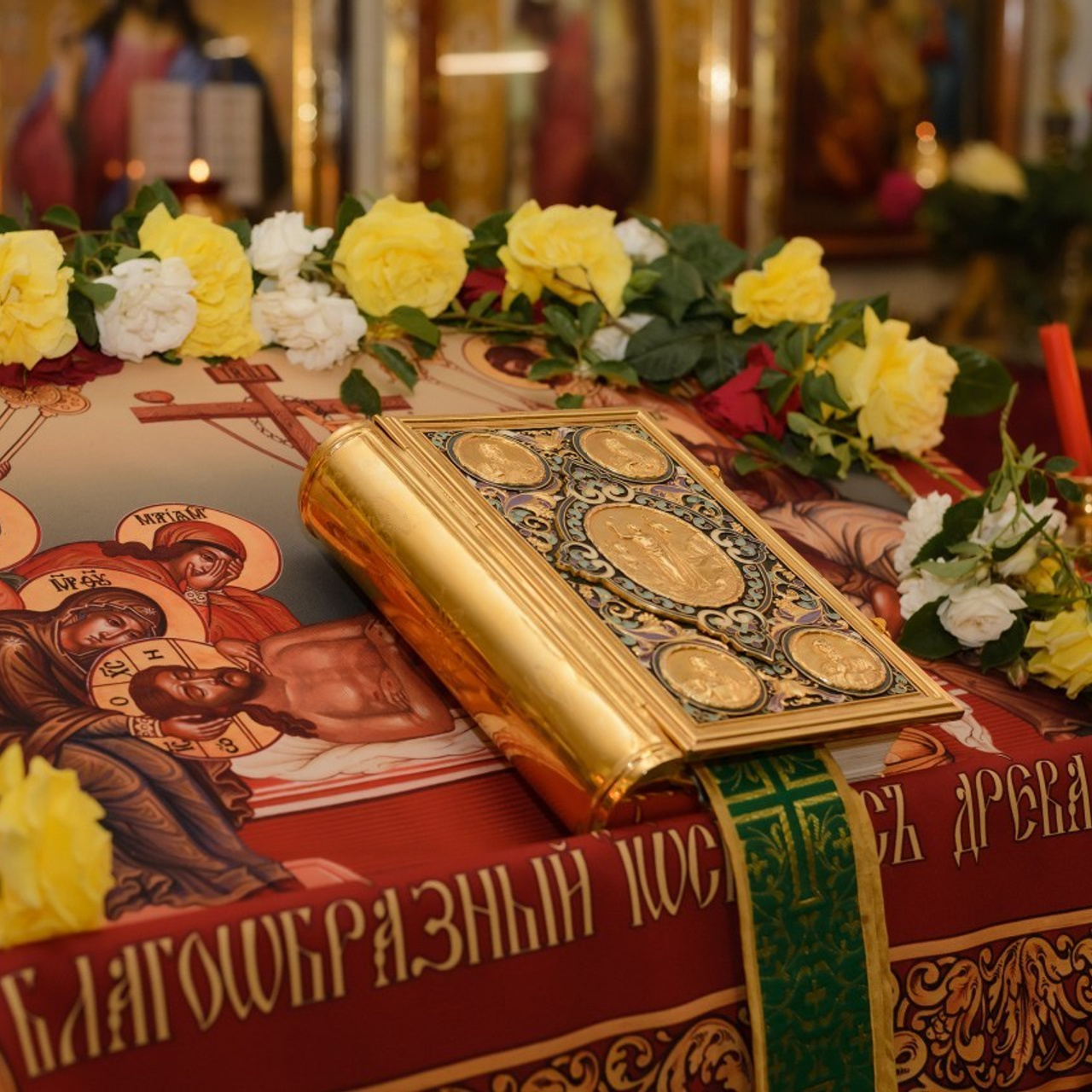 Отзывы. Фотограф в Краснодаре Людмила Панченко