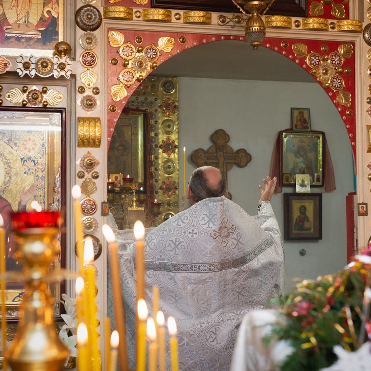 Отзывы. Фотограф в Краснодаре Людмила Панченко