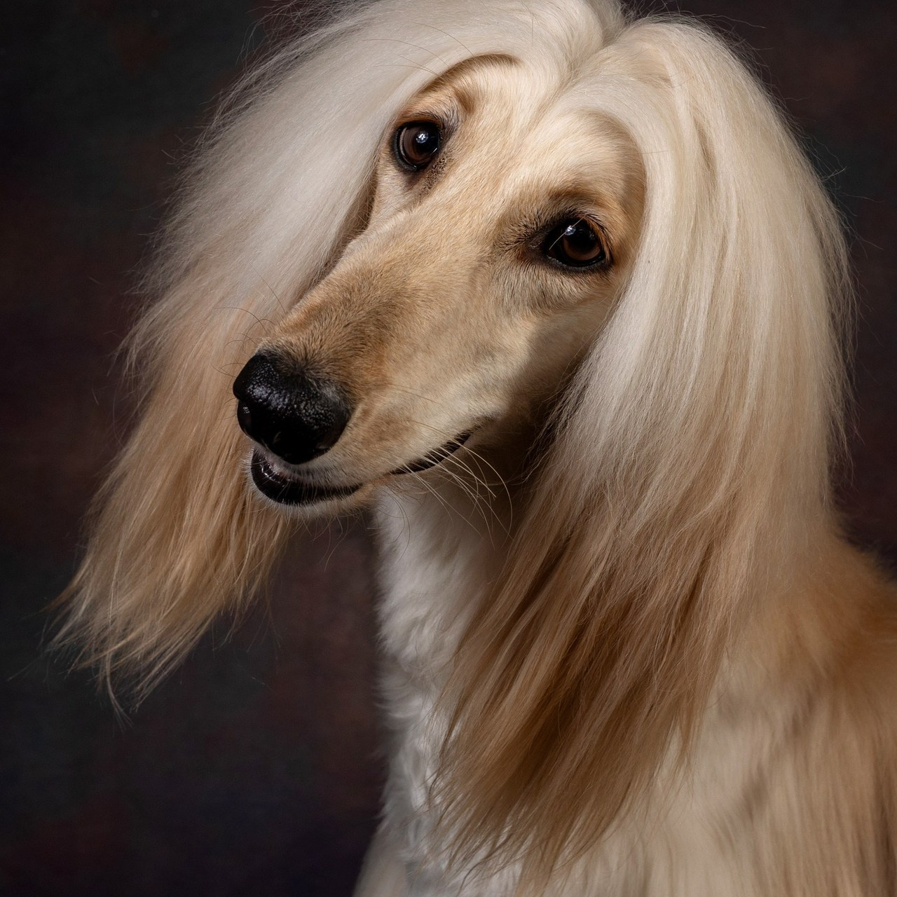 Отзывы о фотографе Ирине Бобрешовой. Фотограф Ирина Бобрешова. Коряжма