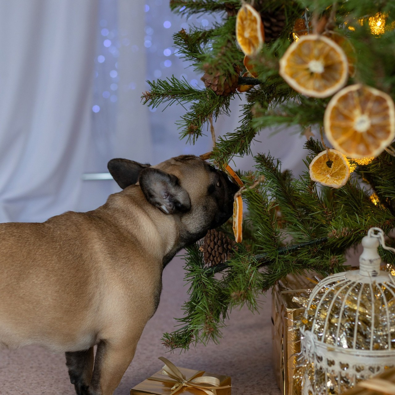 Отзывы о фотографе Ирине Бобрешовой. Фотограф Ирина Бобрешова. Коряжма