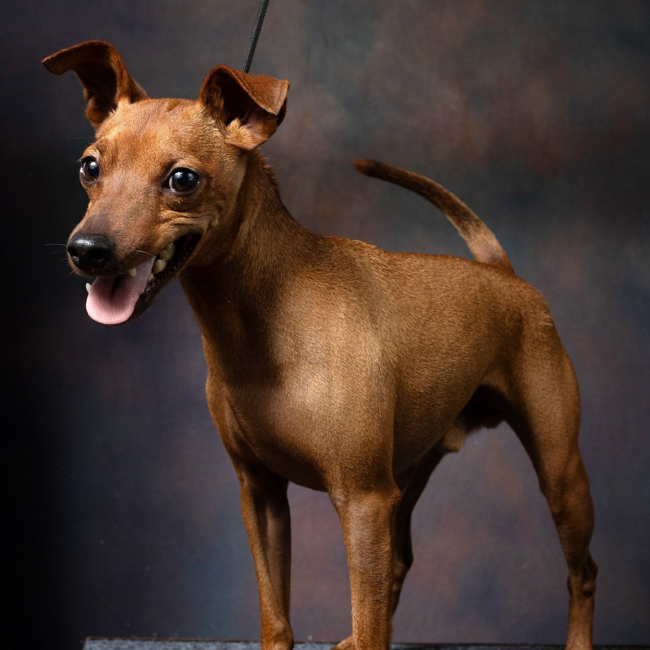 Отзывы о фотографе Ирине Бобрешовой. Фотограф Ирина Бобрешова. Коряжма