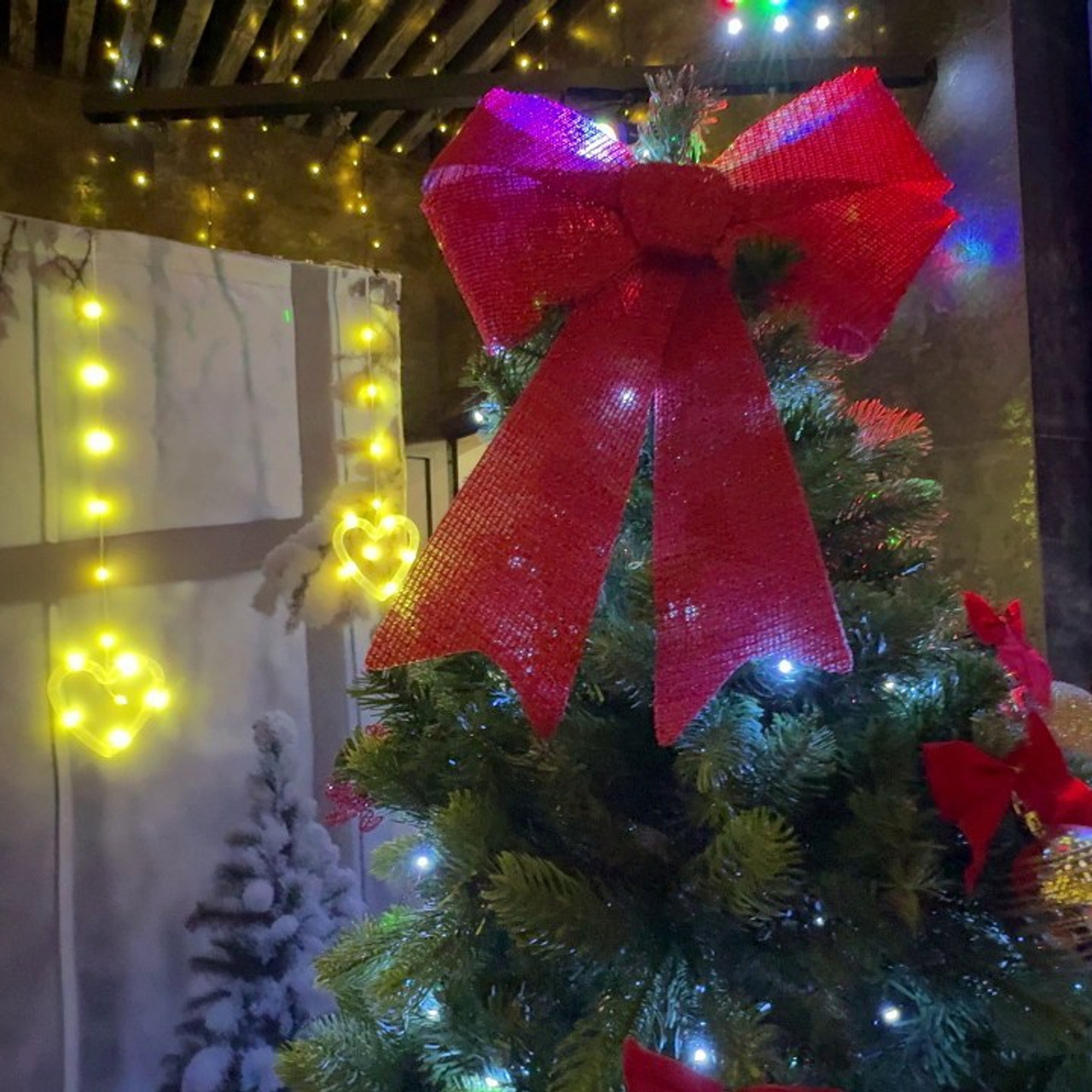 Отзывы о фотографе Ирине Бобрешовой. Фотограф Ирина Бобрешова. Коряжма