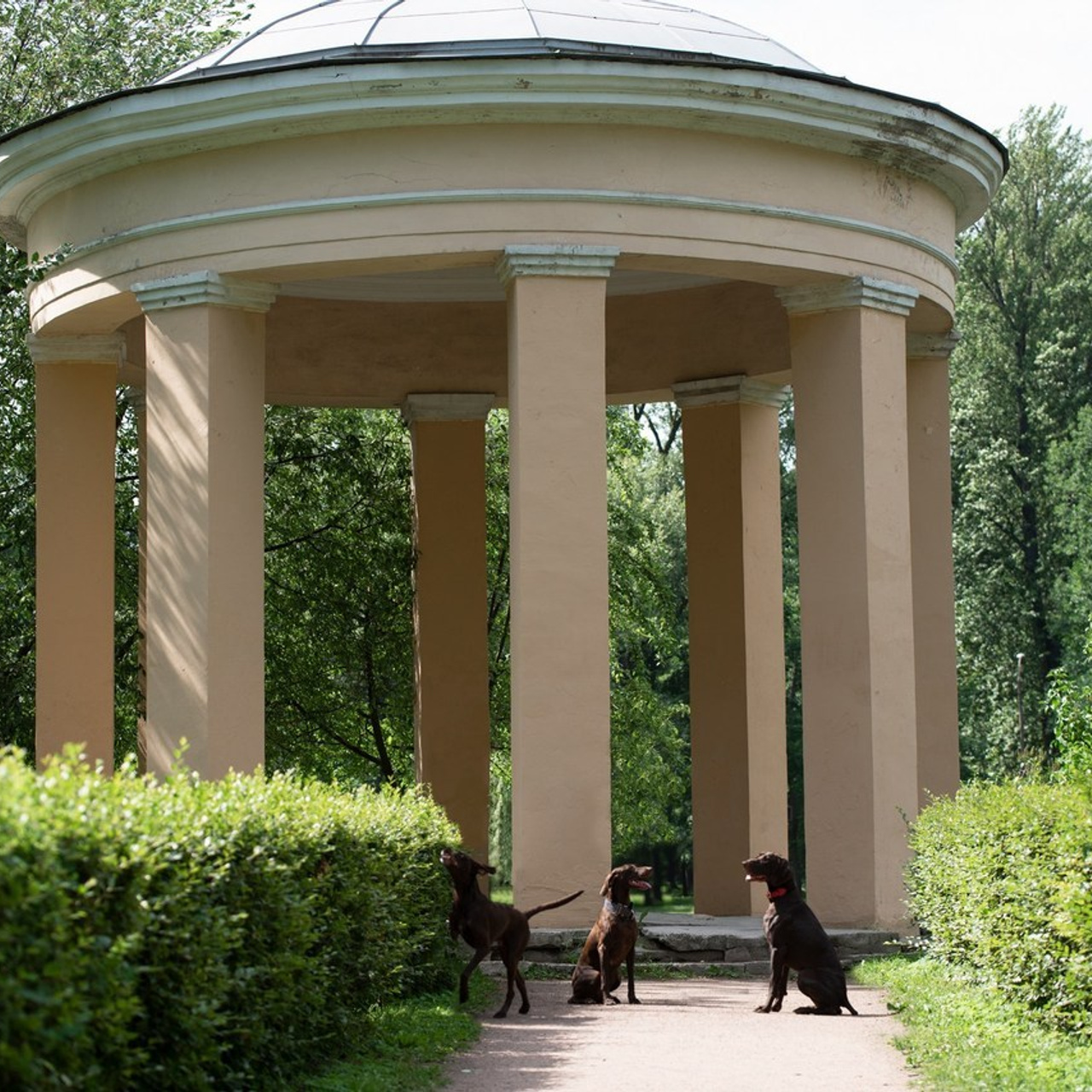 Ваши отзывы. Фотограф в Санкт-Петербурге Светлана Балабанова