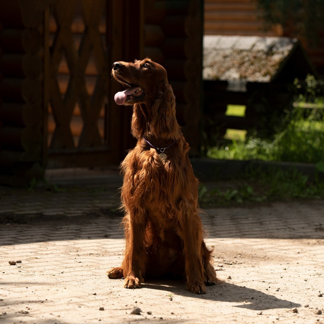 Ваши отзывы. Фотограф в Санкт-Петербурге Светлана Балабанова
