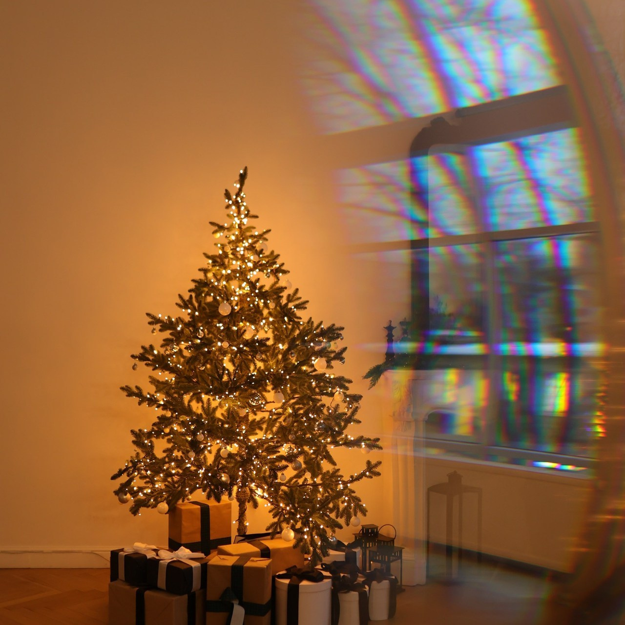 Отзывы. Настя Оленченко, портретный/семейный фотограф на цифру и плёнку Москва