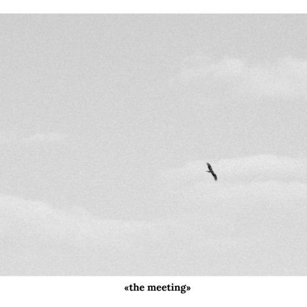 The meeting