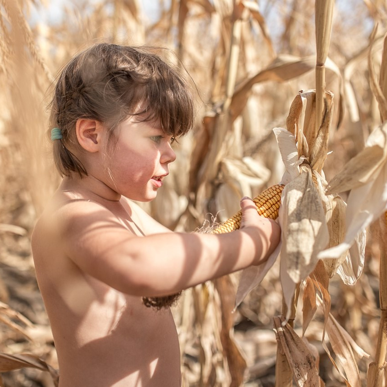 Фото и видеосъемка любых мероприятий в городе Краснодаре и Краснодарском крае. Щеколдин Антон