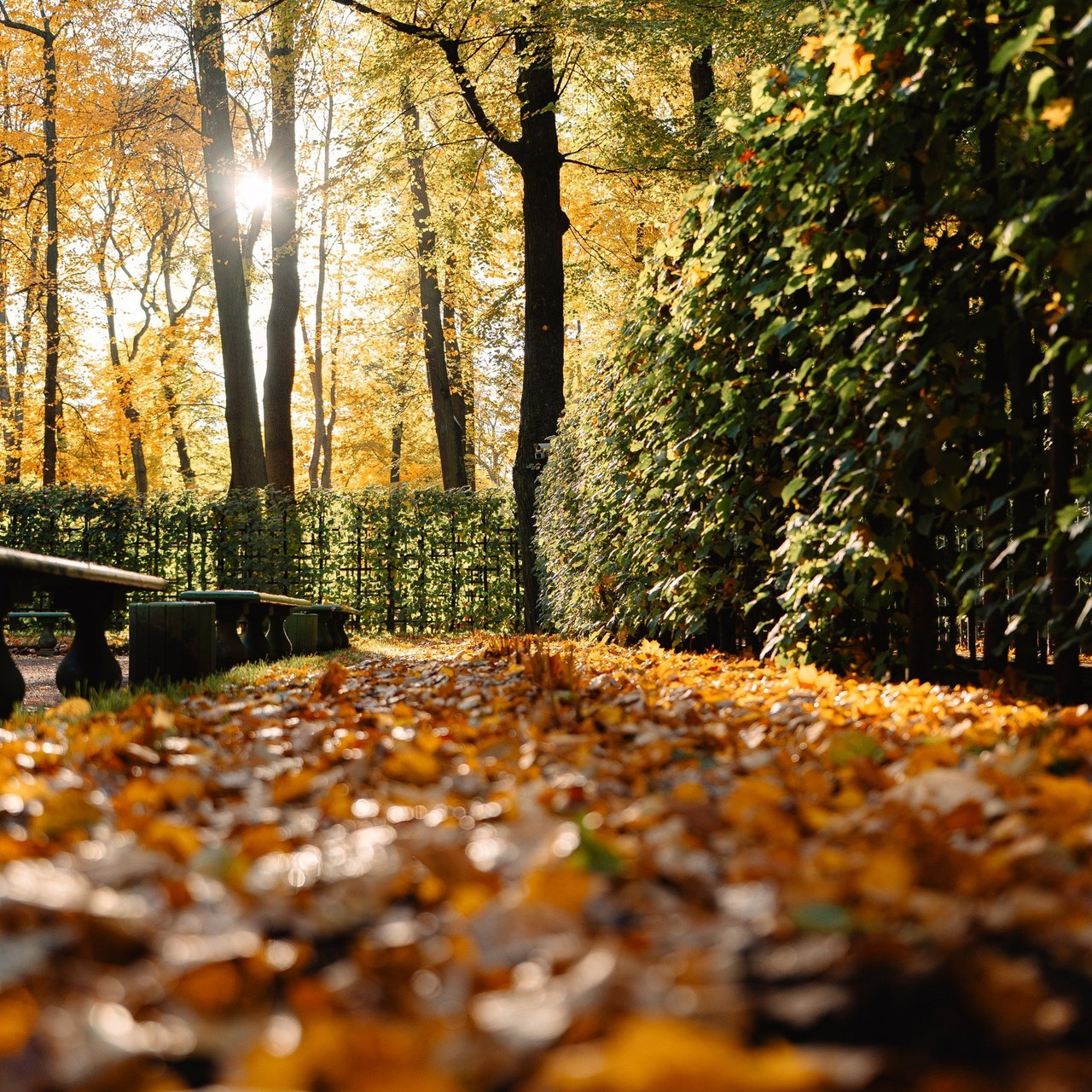 Отзывы. Свадебный, семейный и будуарный фотограф в Санкт-Петербурге Юля Шрамм