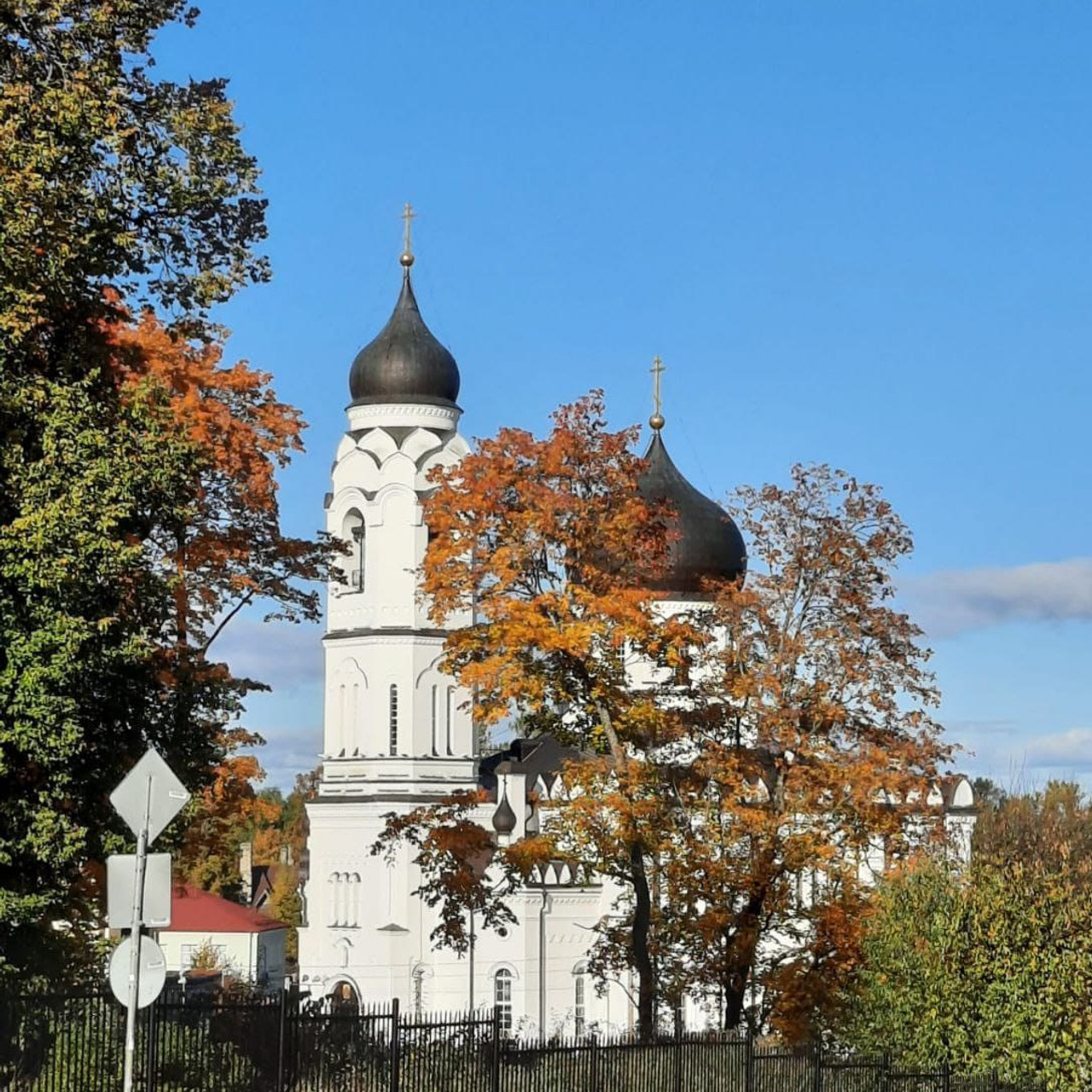 «Апельсиновый» город
