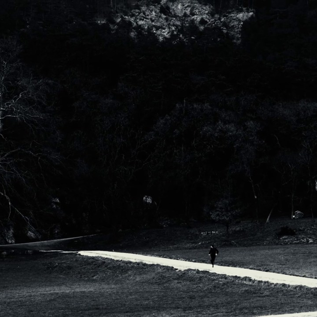 Отзывы. ЕМфото