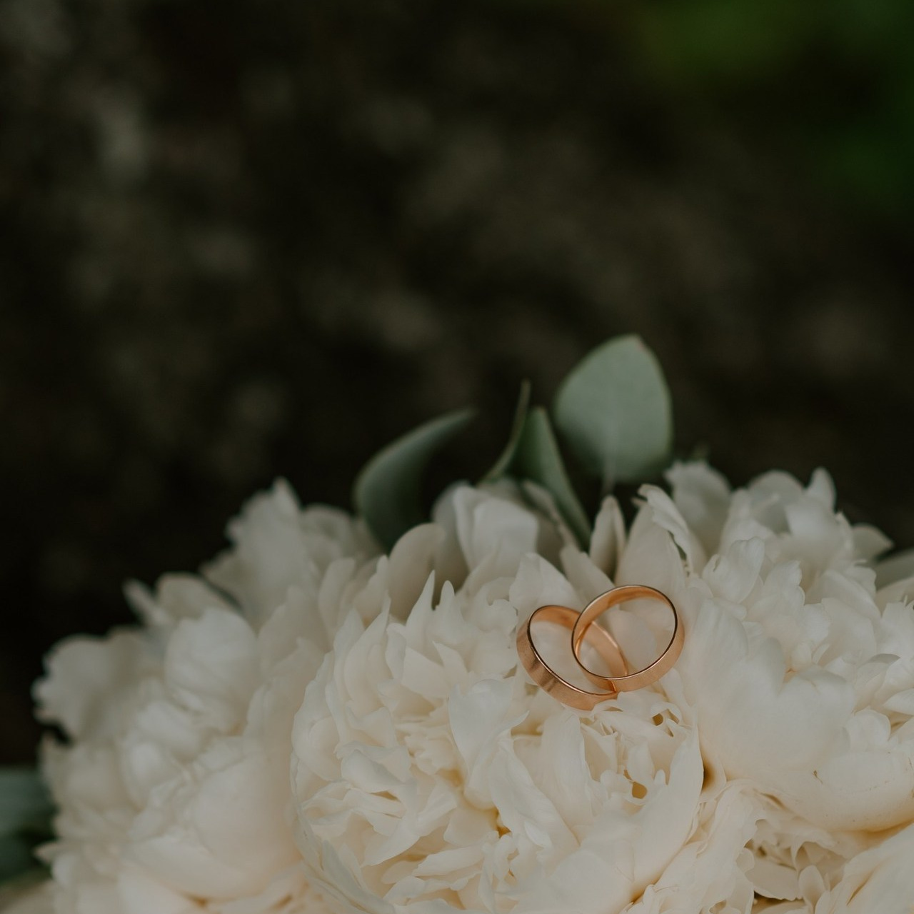 Отзывы о фотографе. Свадебный, репортажный и семейный фотограф в Москве Арина Зак