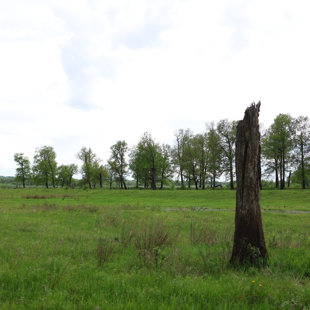 Отзывы. Фотограф Абронина Любовь | Москва