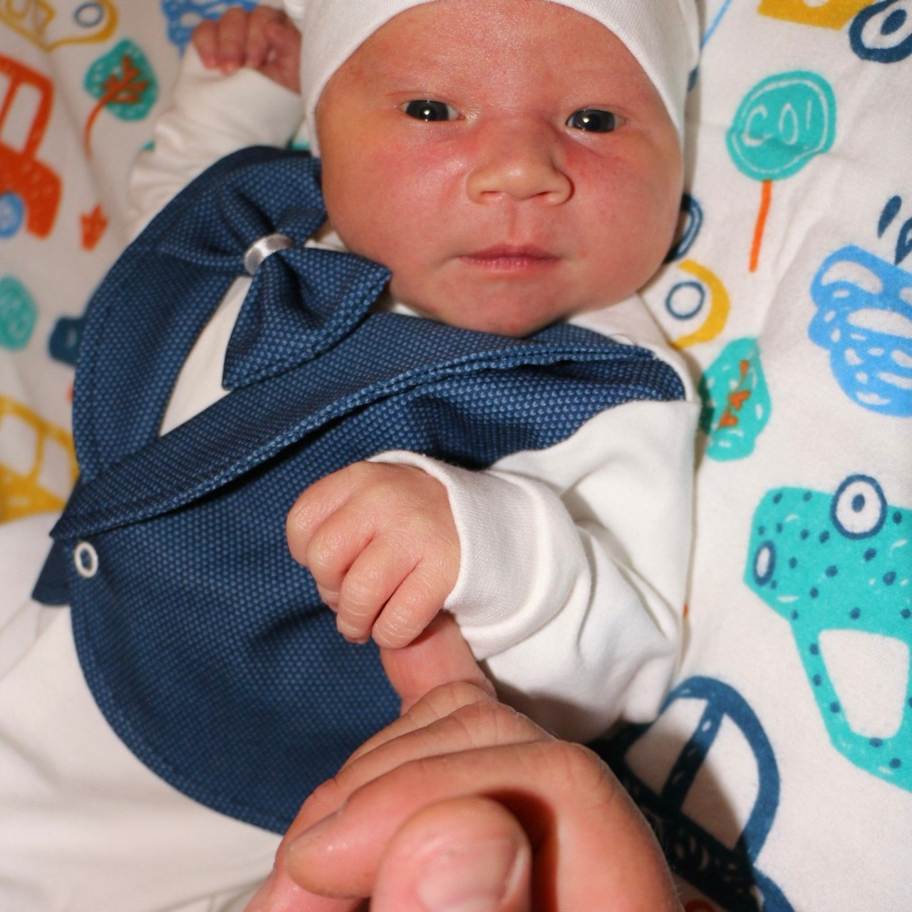 Отзывы. Продажа картин маслом на холсте в г. Ялта