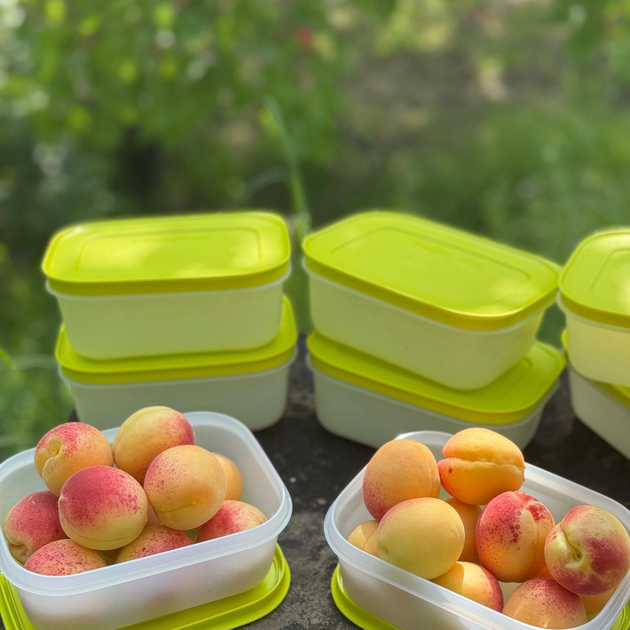 ОТЗЫВЫ покупателей. Tupperware Mollaeva