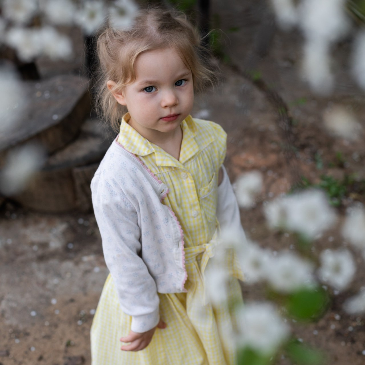 Отзывы. Фотограф в Костроме, Ярославле, Москве Светлана Заведеева