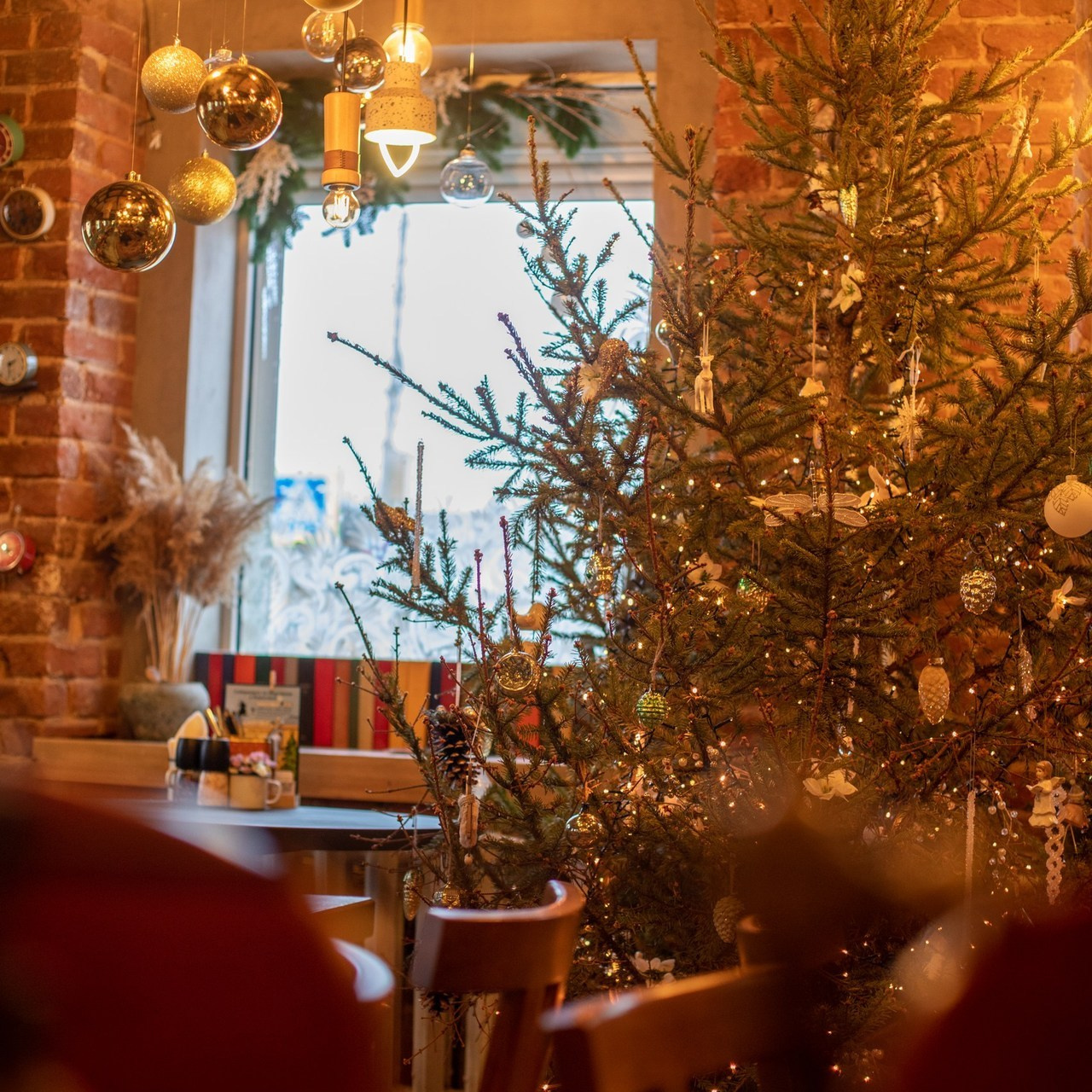 Отзывы. Фотограф в Костроме, Ярославле, Москве Светлана Заведеева