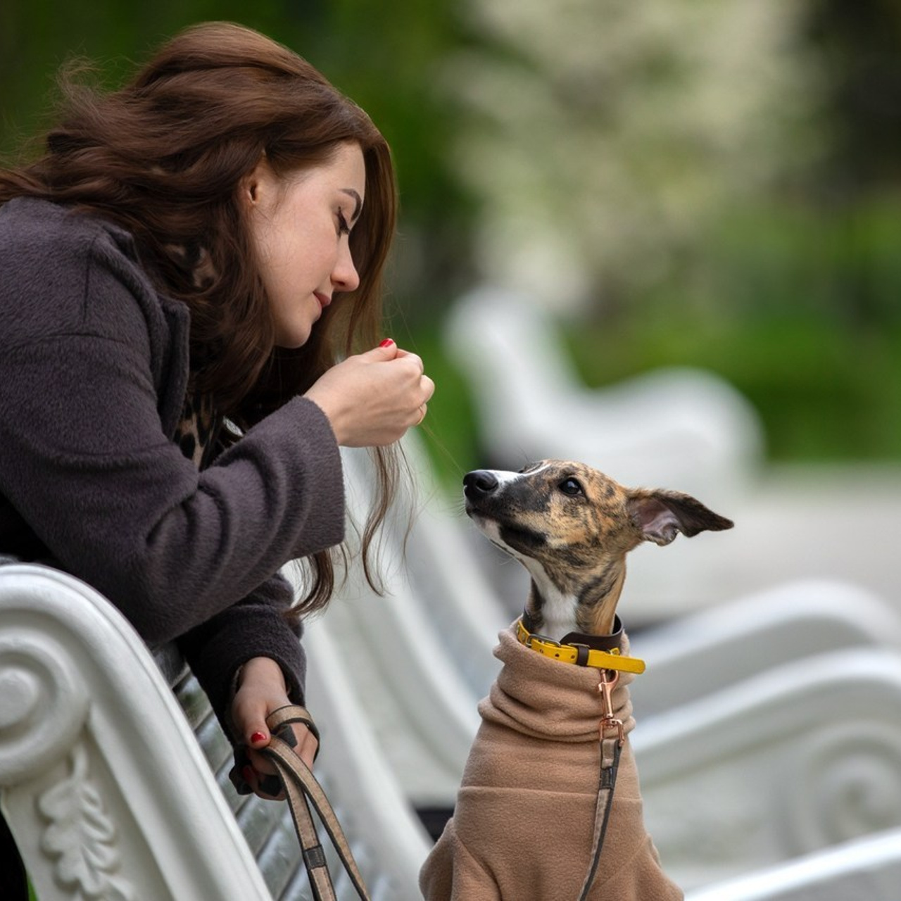 Отзывы о фотографе-анималисте Фроловой Татьяне. Фотограф-анималист в Москве и Московской области Татьяна Фролова