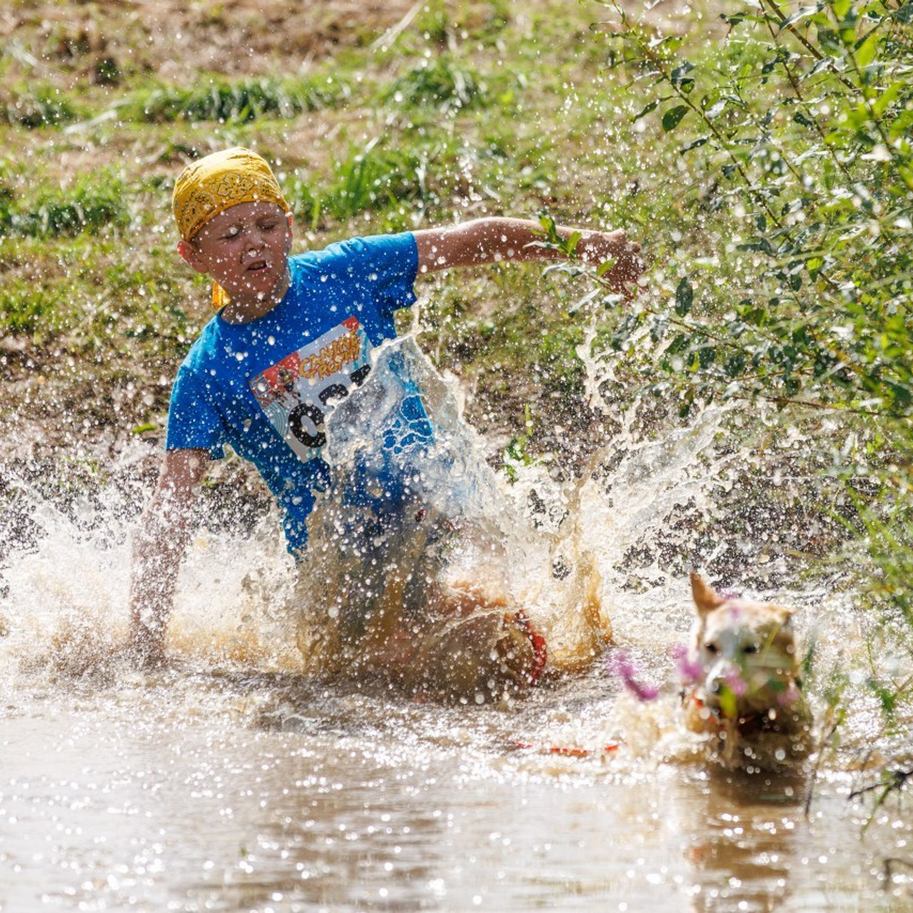 Отзывы о фотографе-анималисте Фроловой Татьяне. Фотограф-анималист в Москве и Московской области Татьяна Фролова