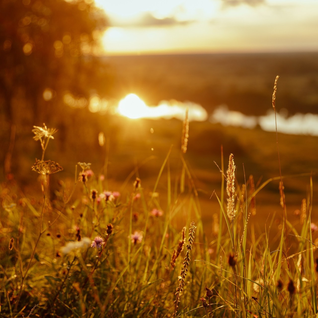 Отзывы. Фотограф в Красногорске и Москве