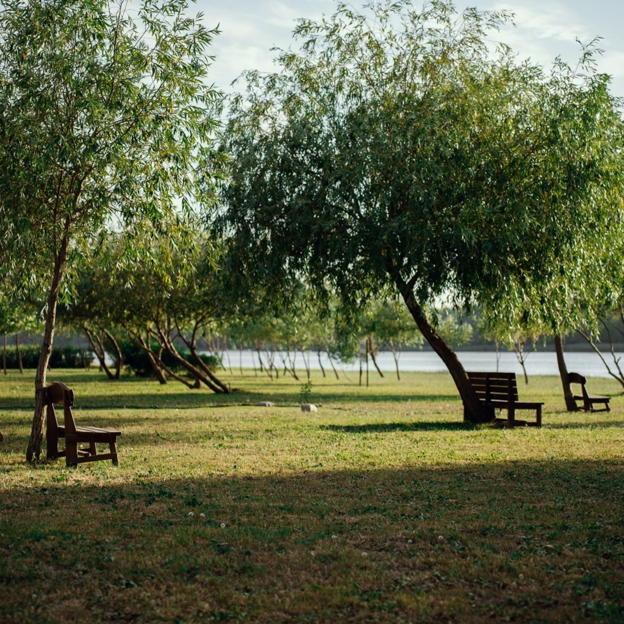 Отзывы. ФОТОГРАФ ИВАН СЕЛИВАНОВ