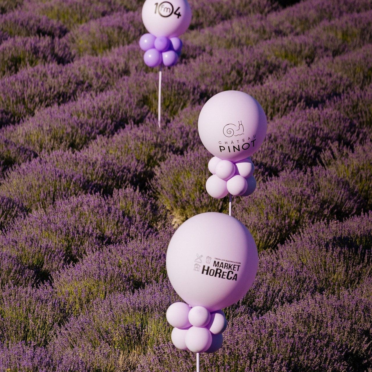 Отзывы. Свадебный и репортажный, фуд фотограф в Новороссийске Евгений Александриди