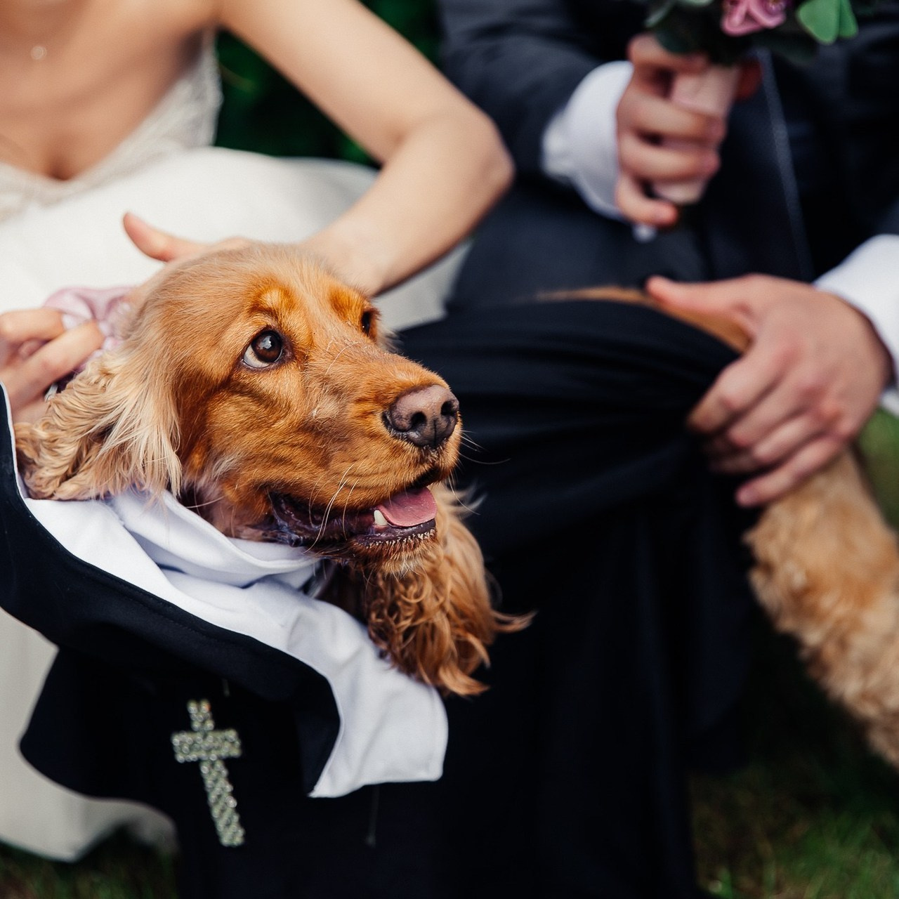 Отзывы. Свадебный и семейный фотограф в Москве и Лобне Евгений Пушкин