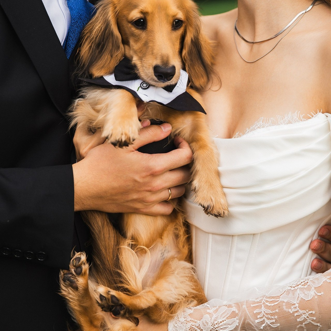 Отзывы. Свадебный и семейный фотограф в Москве и Лобне Евгений Пушкин