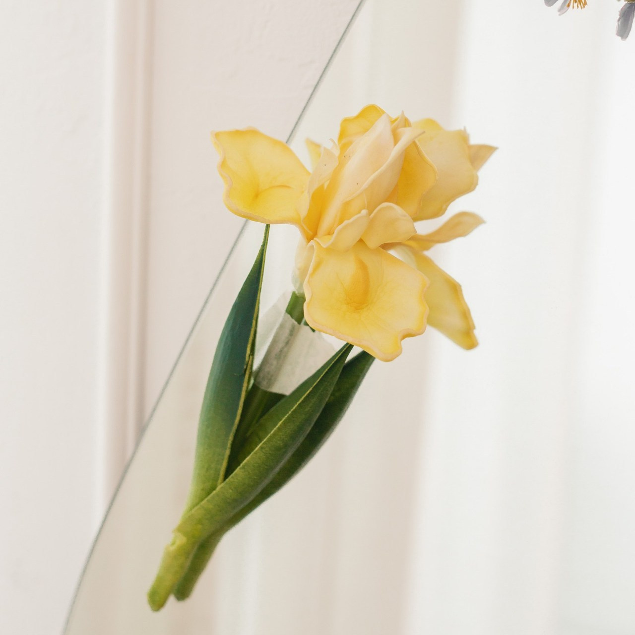 Отзывы. Фотограф Анастасия Петрова