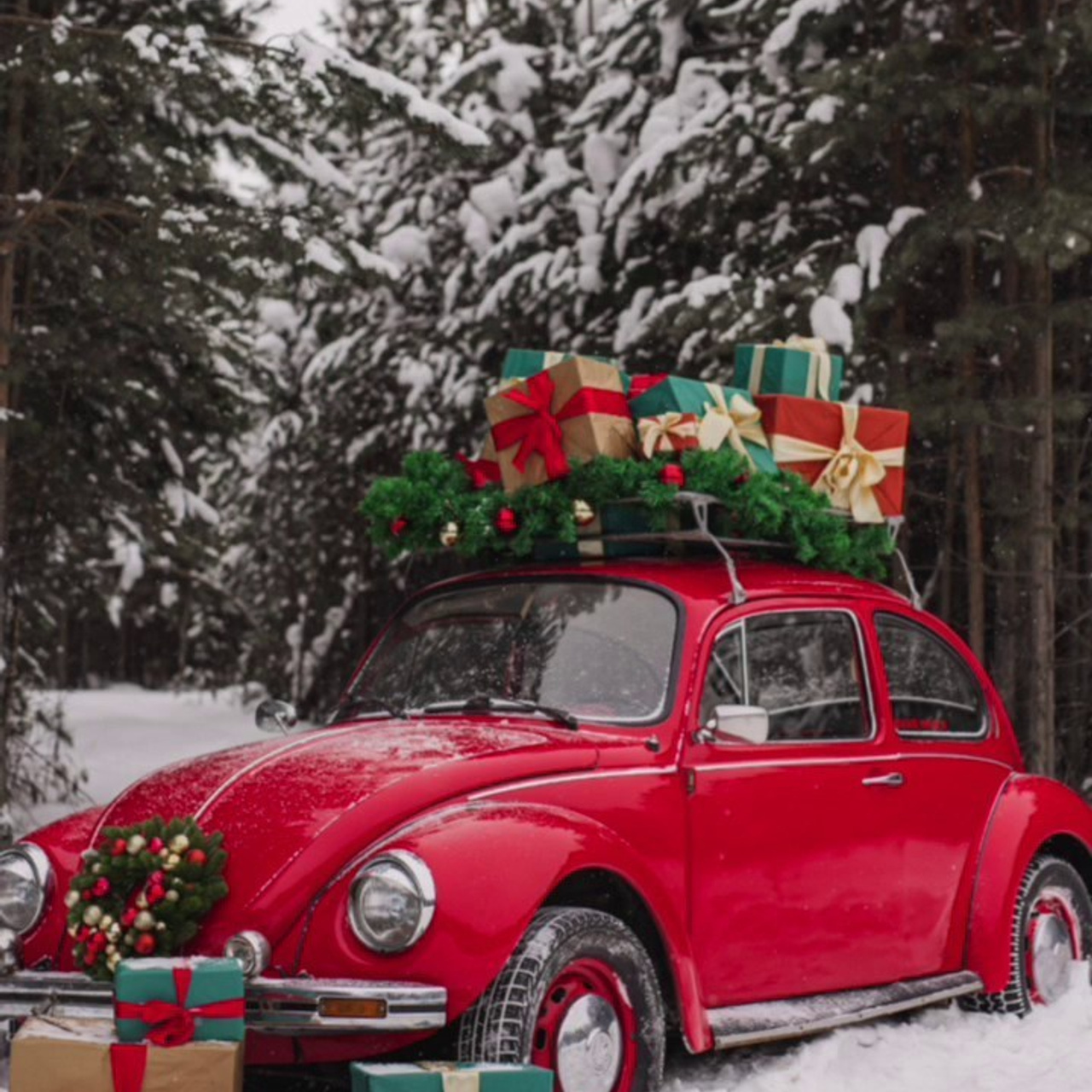 Отзывы. Фотограф Анастасия Петрова