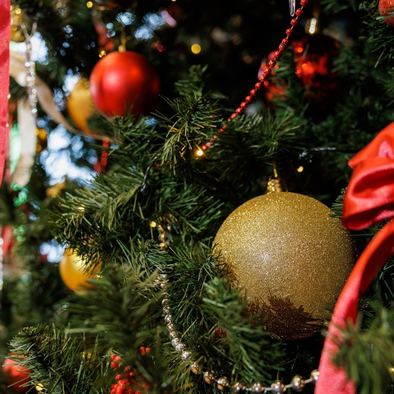 Отзывы. Фотограф в Новокузнецке Бахтияр Омуров