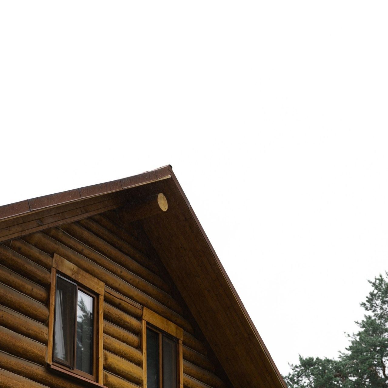 Отзывы. Фотограф Вышний Волочек/Тверь/Москва/Санкт-Петербург