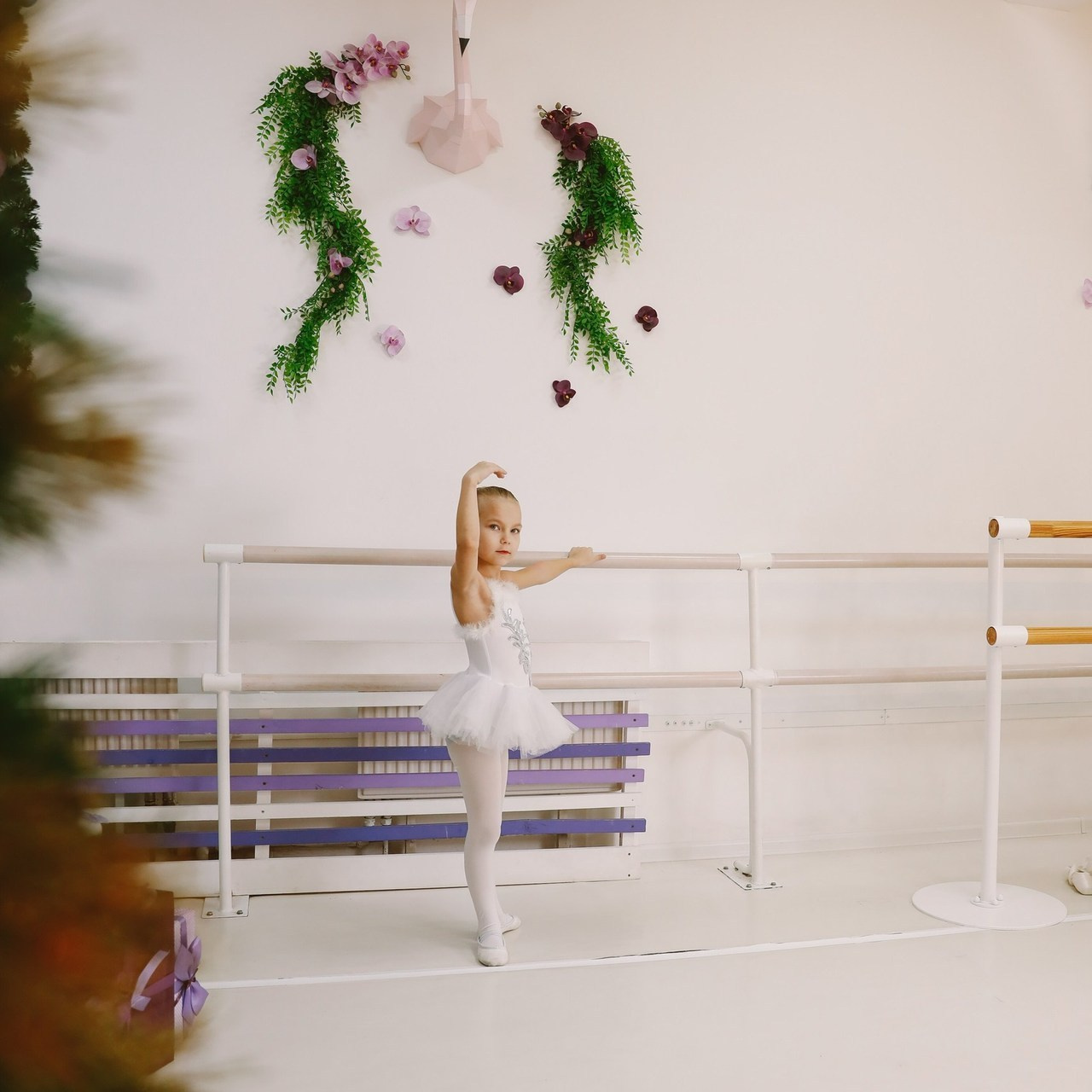 Отзывы. Репортажный фотограф в Мурманской области