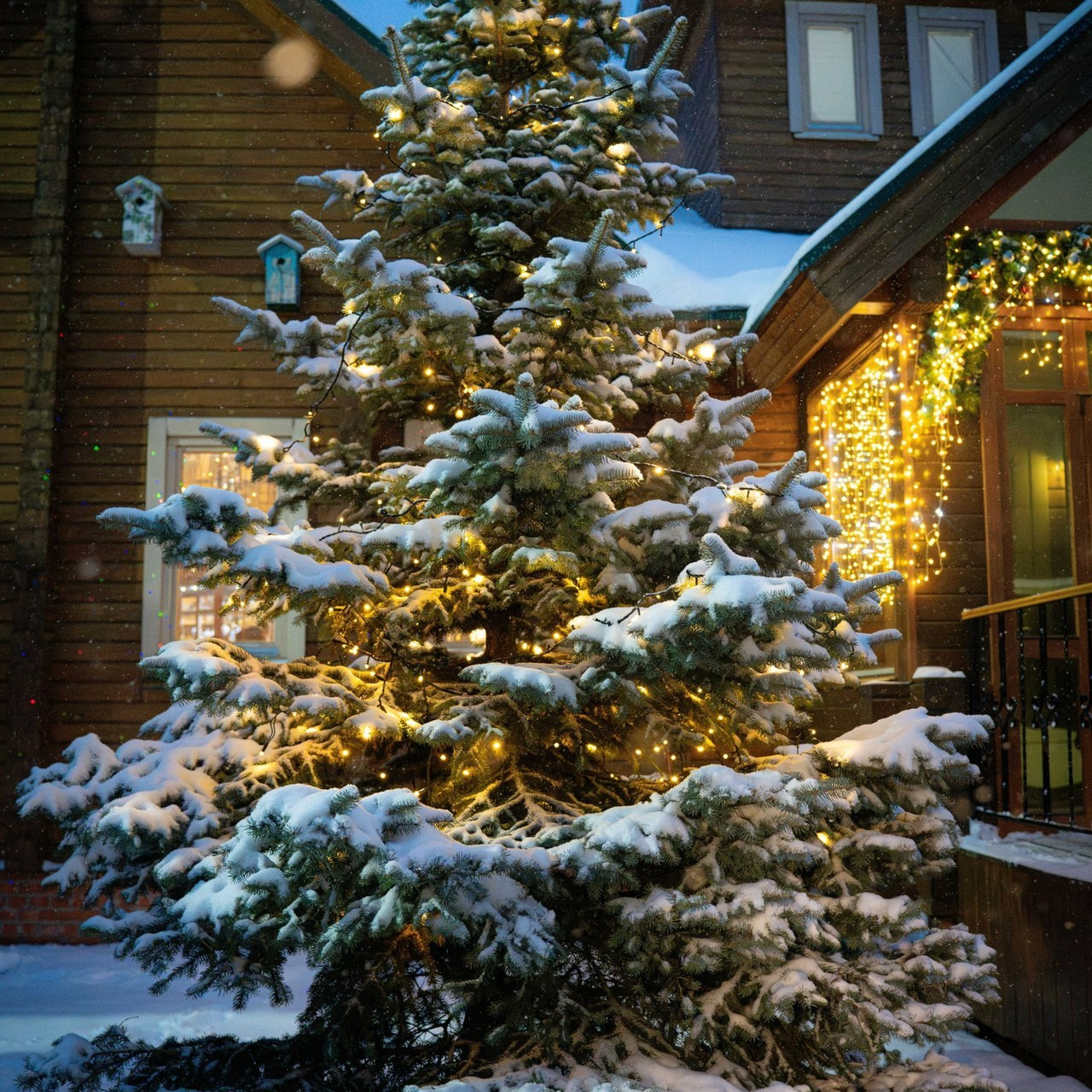 Отзывы. Профессиональный фотограф в Нижнем Новгороде — ФотоLEON