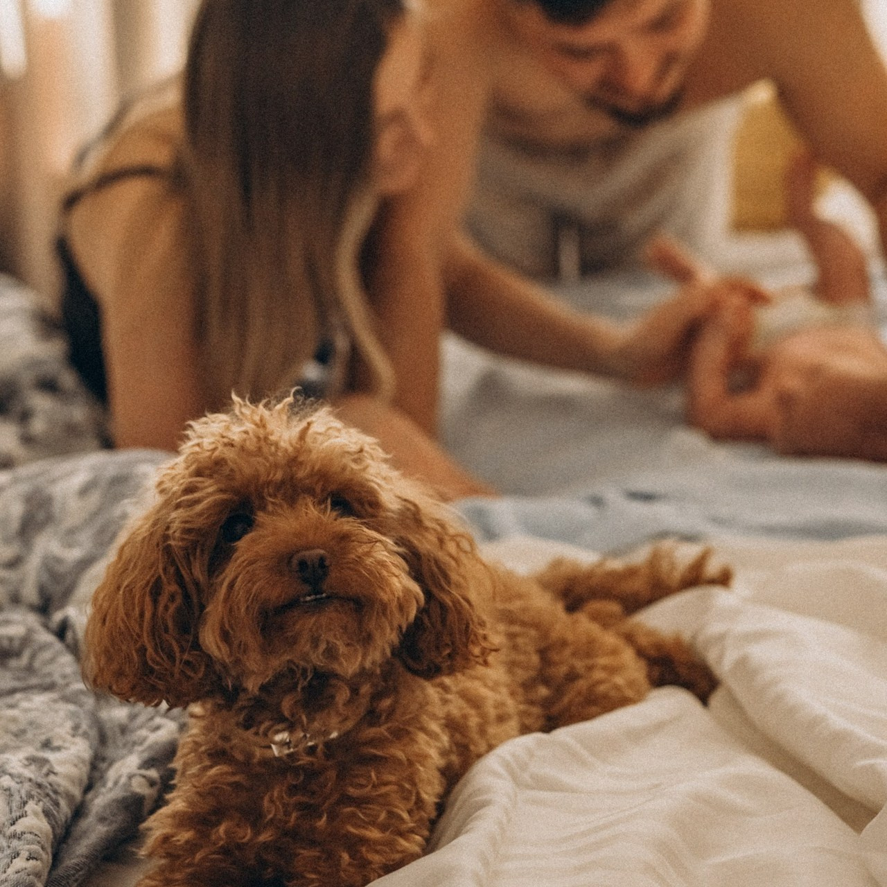 Отзывы. Фотограф новорожденных с выездом на дом. Екатеринбург. Марина Некислая