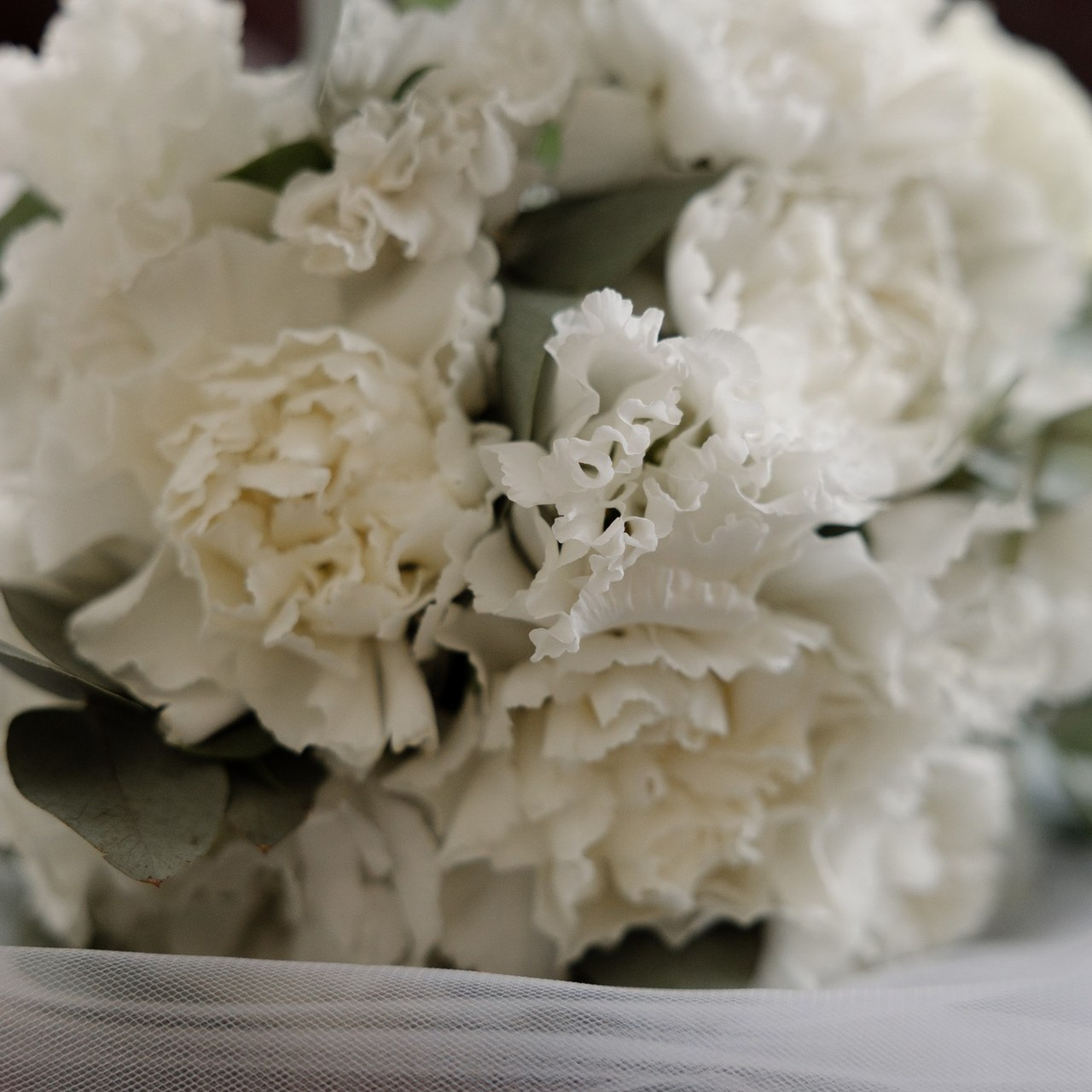 Отзывы. Свадебный и семейный фотограф