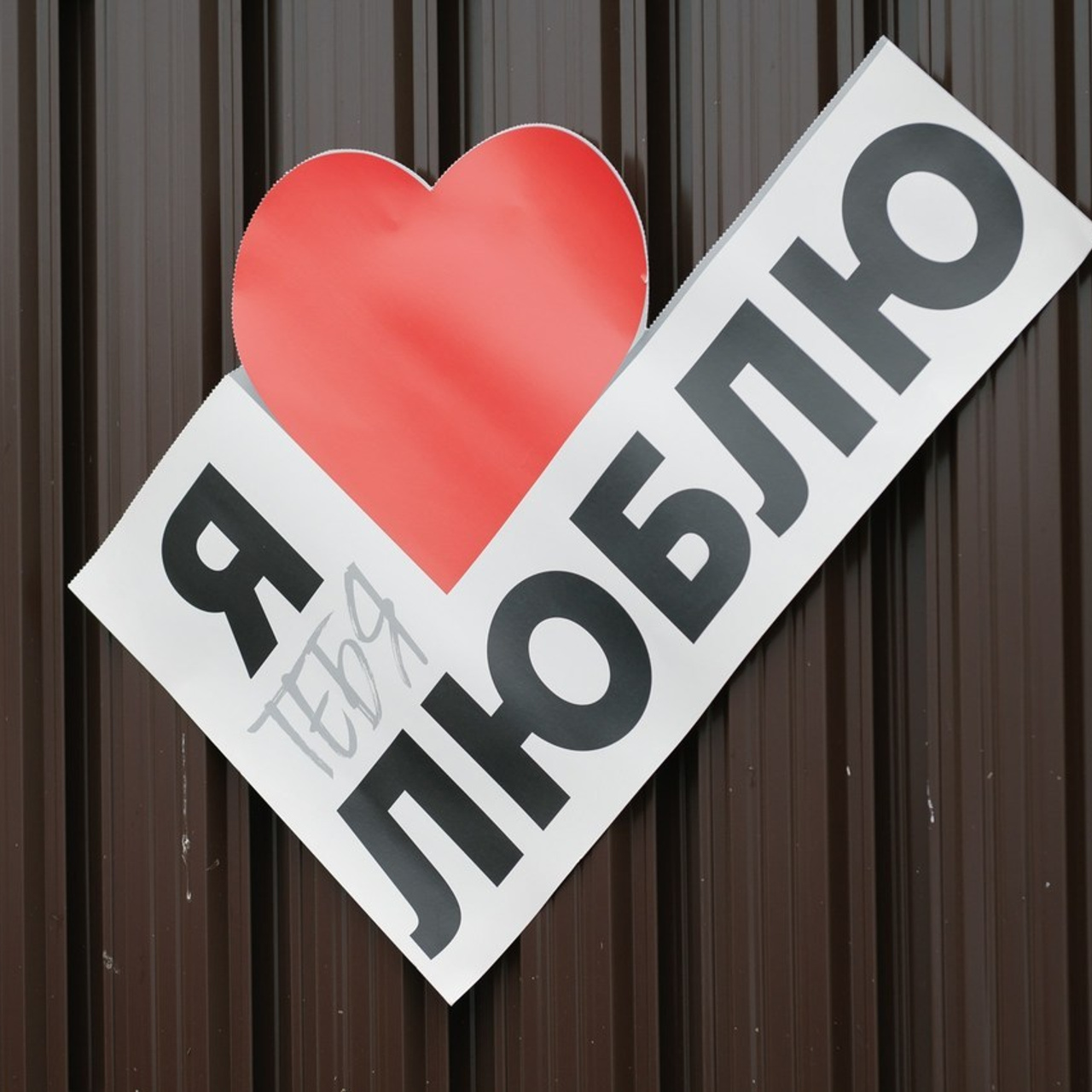 Отзывы. Женский и свадебный фотограф Сызрань и Самарская область