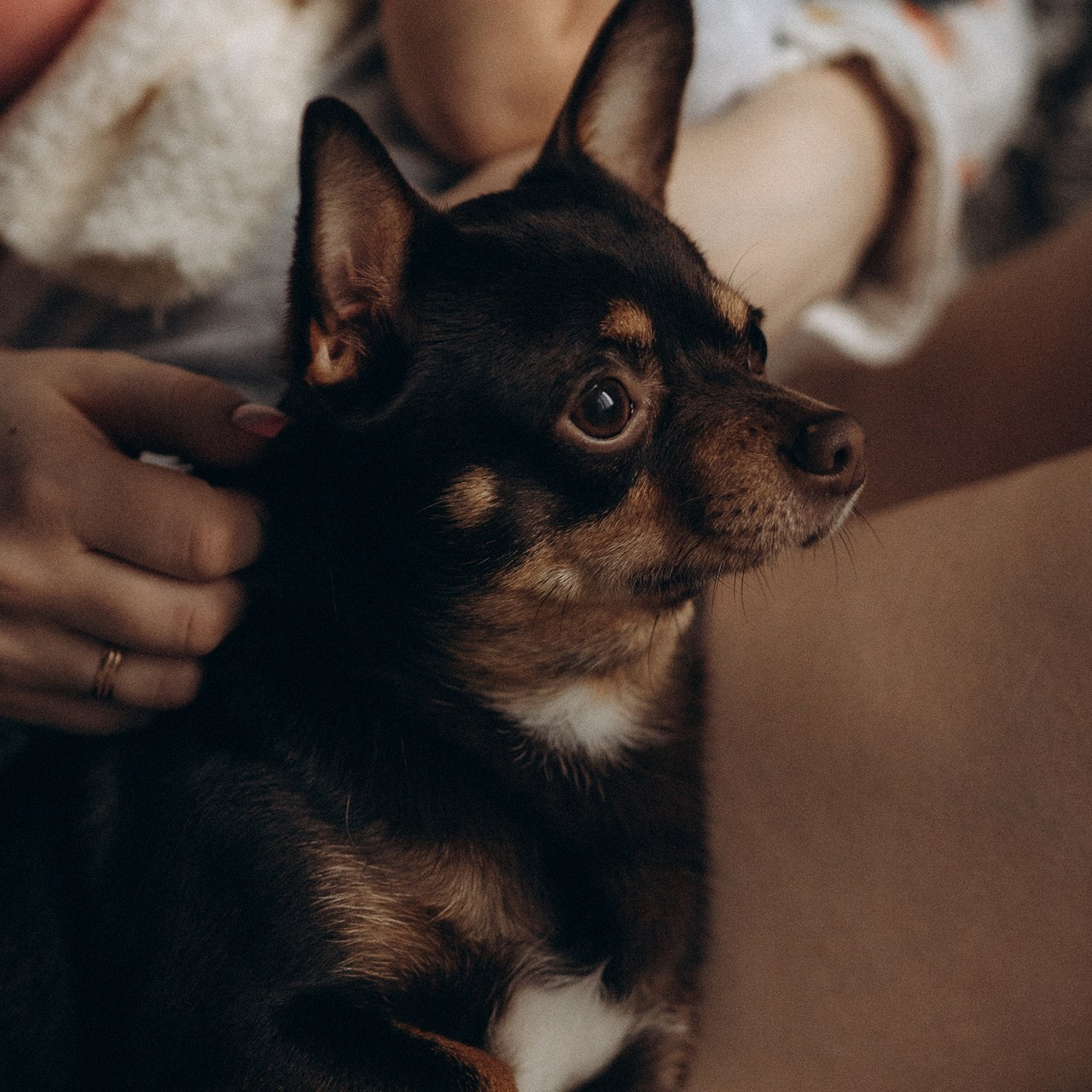 Отзывы. Детский и семейный фотограф — Калининград — Юля Насифуллина